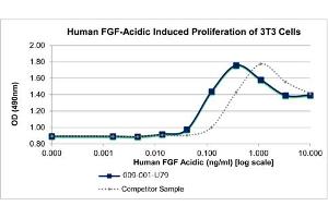 SDS-PAGE of Human Fibroblast Growth Factor acidic Recombinant Protein Bioactivity of Human Fibroblast Growth Factor acidic Recombinant Protein.