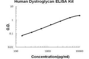 Human Dystroglycan PicoKine ELISA Kit standard curve