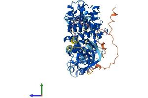 AlphaFold protein structure predicition of Human Recombinant ZAP70 Protein, UniprotID P43403 (ZAP70 Protein (AA 1-619) (His tag))