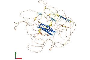 AlphaFold protein structure predicition of Human Recombinant DLGAP4 Protein, UniprotID Q9Y2H0 (DLGAP4 Protein (AA 1-992) (His tag))