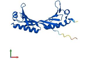 Protein Structure (PS) image for TBP-Like 1 (TBPL1) (AA 1-186) protein (His tag) (ABIN7544360)