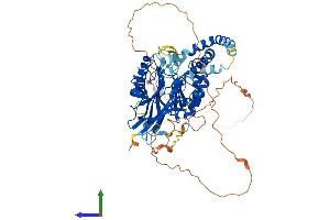 AlphaFold protein structure predicition of Human Recombinant SMPD3 Protein, UniprotID Q9NY59