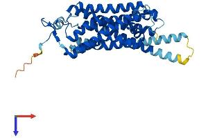 AlphaFold protein structure predicition of Mouse Recombinant Taar8c Protein, UniprotID Q5QD05 (TAAR8C Protein (AA 1-344) (His tag))