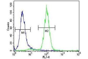 Acetylcholinesterase antibody flow cytometric analysis of human NCI-H460 cells (right histogram) compared to a negative control (left histogram). (Acetylcholinesterase antibody  (AA 147-175))