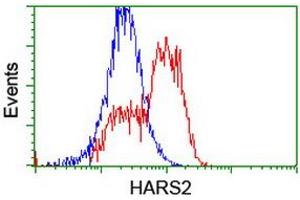 HEK293T cells transfected with either RC204925 overexpress plasmid (Red) or empty vector control plasmid (Blue) were immunostained by anti-HARS2 antibody (ABIN2455227), and then analyzed by flow cytometry. (HARS2 antibody)