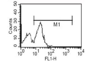 Flow Cytometry (FACS) image for anti-CD14 (CD14) antibody (ABIN1843073) (CD14 antibody)