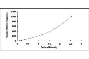 Typical standard curve (LGALS12 ELISA Kit)