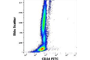 Flow cytometry surface staining pattern of human peripheral whole blood stained using anti-human CD34 (QBEnd-10) FITC antibody (20 μL reagent / 100 μL of peripheral whole blood). (CD34 antibody  (FITC))
