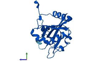 AlphaFold protein structure predicition of Human Recombinant GNPNAT1 Protein, UniprotID Q96EK6