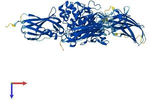 Protein Structure (PS) image for Transglutaminase 7 (TGM7) (AA 1-710) protein (His tag) (ABIN7544280)