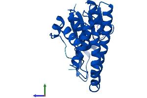 AlphaFold protein structure predicition of Human Recombinant GSTM5 Protein, UniprotID P46439 (GSTM5 Protein (AA 1-218) (His tag))