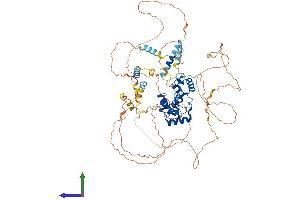 AlphaFold protein structure predicition of Mouse Recombinant Mybl1 Protein, UniprotID P51960