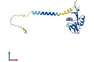 Protein Structure (PS) image for Killer Cell Lectin-Like Receptor Subfamily B, Member 1 (KLRB1) (AA 1-214) protein (His tag) (ABIN7556961)
