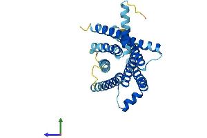 AlphaFold protein structure predicition of Human Recombinant TAS2R43 Protein, UniprotID P59537 (TAS2R43 Protein (AA 1-309) (His tag))