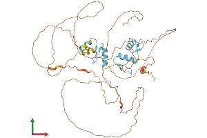 AlphaFold protein structure predicition of Human Recombinant SP8 Protein, UniprotID Q8IXZ3 (SP8 Protein (AA 1-490) (His tag))