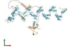 AlphaFold protein structure predicition of Human Recombinant ZNF616 Protein, UniprotID Q08AN1 (ZNF616 Protein (AA 1-781) (His tag))