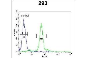 LOX Antibody (Center) (ABIN653071 and ABIN2842672) flow cytometric analysis of 293 cells (right histogram) compared to a negative control cell (left histogram). (LOX antibody  (AA 234-260))