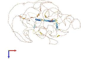 AlphaFold protein structure predicition of Human Recombinant POM121C Protein, UniprotID A8CG34 (POM121C Protein (AA 1-1229) (His tag))