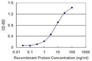 Detection limit for recombinant GST tagged CKAP2 is 0. (CKAP2 antibody  (AA 1-161))