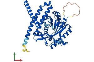 AlphaFold protein structure predicition of Mouse Recombinant Lpgat1 Protein, UniprotID Q91YX5 (LPGAT1 Protein (AA 1-370) (His tag))