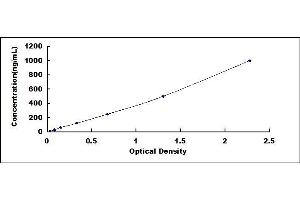 Typical standard curve