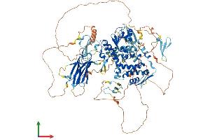 Protein Structure (PS) image for E3 ubiquitin-protein ligase NEDD4-like (NEDD4L) (AA 1-1004) protein (His tag) (ABIN7564557)