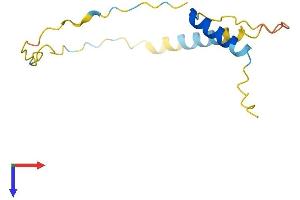 AlphaFold protein structure predicition of Human Recombinant C1orf21 Protein, UniprotID Q9H246 (C1ORF21 Protein (AA 1-121) (His tag))