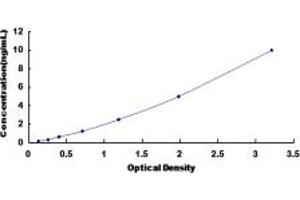 Typical standard curve (ARPC2 ELISA Kit)