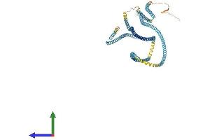 AlphaFold protein structure predicition of Human Recombinant CFAP58 Protein, UniprotID Q5T655 (CCDC147 Protein (AA 1-872) (His tag))