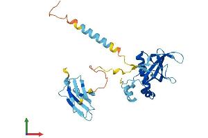 AlphaFold protein structure predicition of Human Recombinant PIH1D1 Protein, UniprotID Q9NWS0 (PIH1D1 Protein (AA 1-290) (His tag))