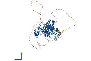 AlphaFold protein structure predicition of Mouse Recombinant Nt5c1b Protein, UniprotID Q91YE9