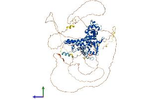 Protein Structure (PS) image for Exonuclease 1 (EXO1) (AA 1-846) protein (His tag) (ABIN7553847)