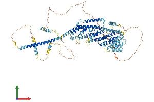 AlphaFold protein structure predicition of Human Recombinant GCFC2 Protein, UniprotID P16383 (GCFC2 Protein (AA 1-781) (His tag))
