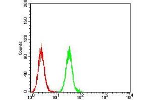 Flow cytometric analysis of Hela cells using PLCG2 mouse mAb (green) and negative control (red). (Phospholipase C gamma 2 antibody  (AA 826-985))