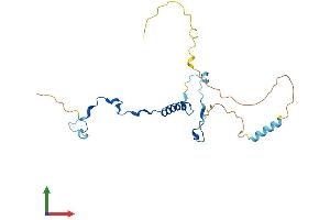 AlphaFold protein structure predicition of Mouse Recombinant Polr3g Protein, UniprotID Q6NXY9