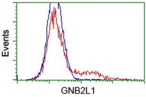 HEK293T cells transfected with either RC205092 overexpress plasmid (Red) or empty vector control plasmid (Blue) were immunostained by anti-GNB2L1 antibody (ABIN2454454), and then analyzed by flow cytometry. (GNB2L1 antibody)