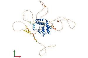 Protein Structure (PS) image for Nuclear Factor I/X (MLZE) (AA 1-488) protein (His tag) (ABIN7556679)