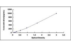 Typical standard curve (CPN1 ELISA Kit)