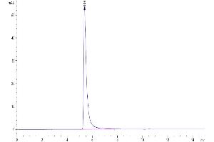 The purity of SARS spike S1 is greater than 95 % as determined by SEC-HPLC. (SARS-CoV-2 Spike S1 Protein (Fc-Avi Tag))