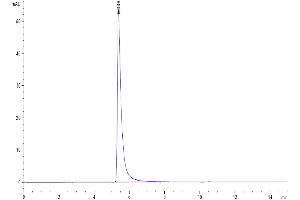 The purity of SARS spike S1 is greater than 95 % as determined by SEC-HPLC. (SARS-CoV-2 Spike S1 Protein (Fc-Avi Tag))
