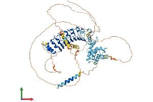 AlphaFold protein structure predicition of Human Recombinant LRCH4 Protein, UniprotID O75427