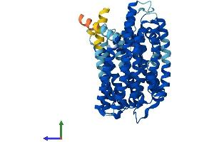 Protein Structure (PS) image for RFT1 Homolog (RFT1) (AA 1-541) protein (His tag) (ABIN7559121)