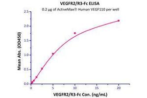 Immobilized  Human VEGF110 (Cat# VE0-H5212) at 2 μg/mL (100 μL/well) can bind VEGFR2 / R3-Fc with a linear range of 0. (VEGF110 (AA 27-136) (Active) Protein)