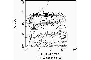 Stained with purified mouse anti-rat CD90/mouse CD90. (CD90 antibody)