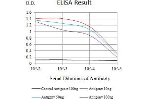 Black line: Control Antigen (100 ng),Purple line: Antigen (10 ng), Blue line: Antigen (50 ng), Red line:Antigen (100 ng) (LILRA2 antibody  (AA 316-449))