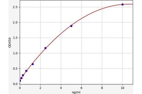 METRNL ELISA Kit