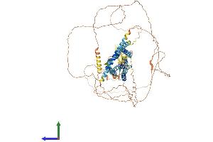 Protein Structure (PS) image for G Protein-Coupled Receptor 156 (GPR156) (AA 1-814) protein (His tag) (ABIN7554027)
