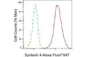Flow cytometric analysis of Syntaxin 4 expression in HepG2 cells using Syntaxin 4 antibody (ABIN7800496), 1:2,000).