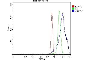 Flow Cytometry analysis of MCF-7 cells using anti-YTHDC2 antibody (ABIN7599661). (YTHDC2 antibody  (AA 105-1231))
