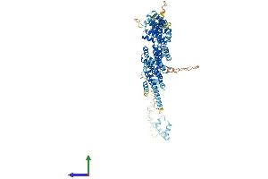 AlphaFold protein structure predicition of Mouse Recombinant Cog2 Protein, UniprotID Q921L5 (COG2 Protein (AA 1-731) (His tag))